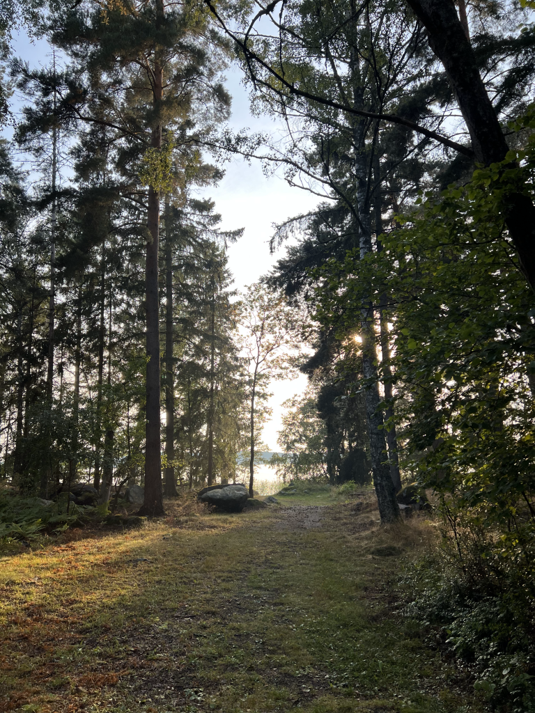 Hållbarhet